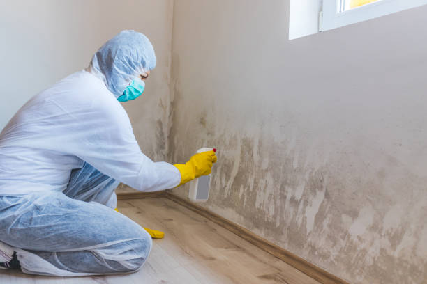 Mold Remediation specialist working in Downingtown
